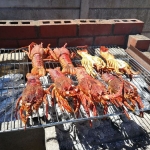 GeneralCaterting (14)